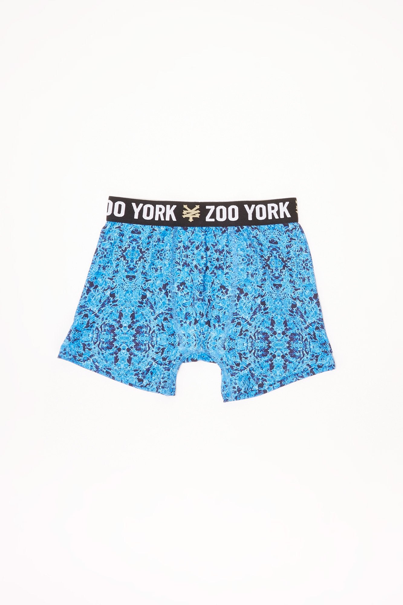 Zoo York Youth Blue Abstract Print Boxer