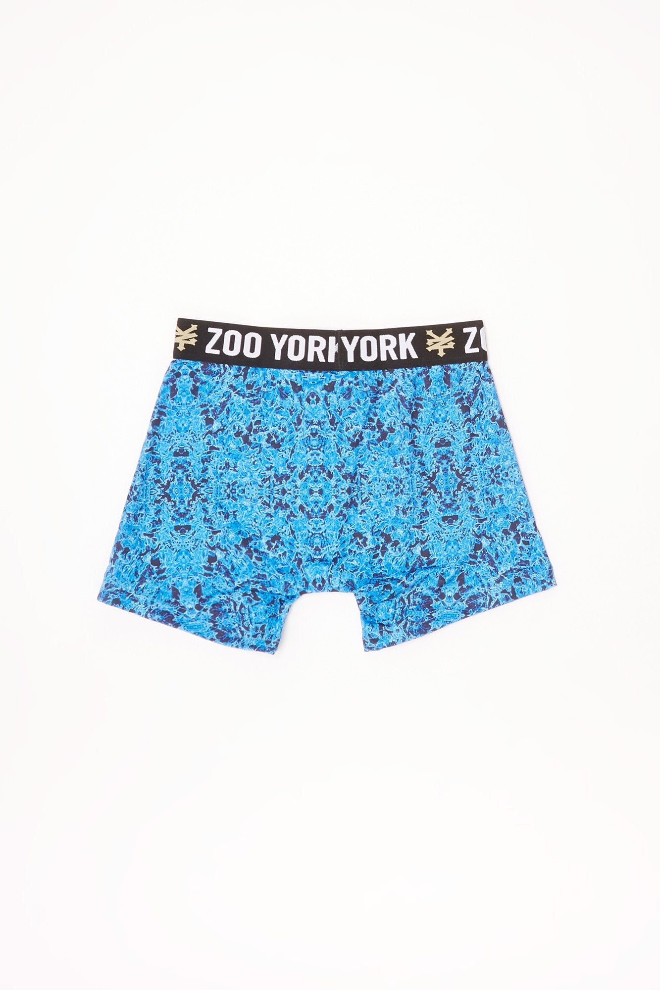 Zoo York Youth Blue Abstract Print Boxer