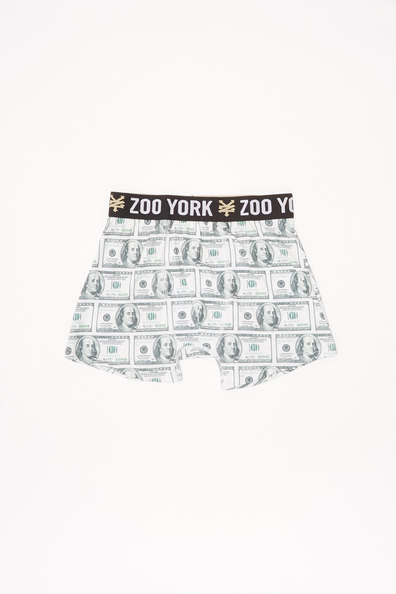 Zoo York Youth Money Print Boxers