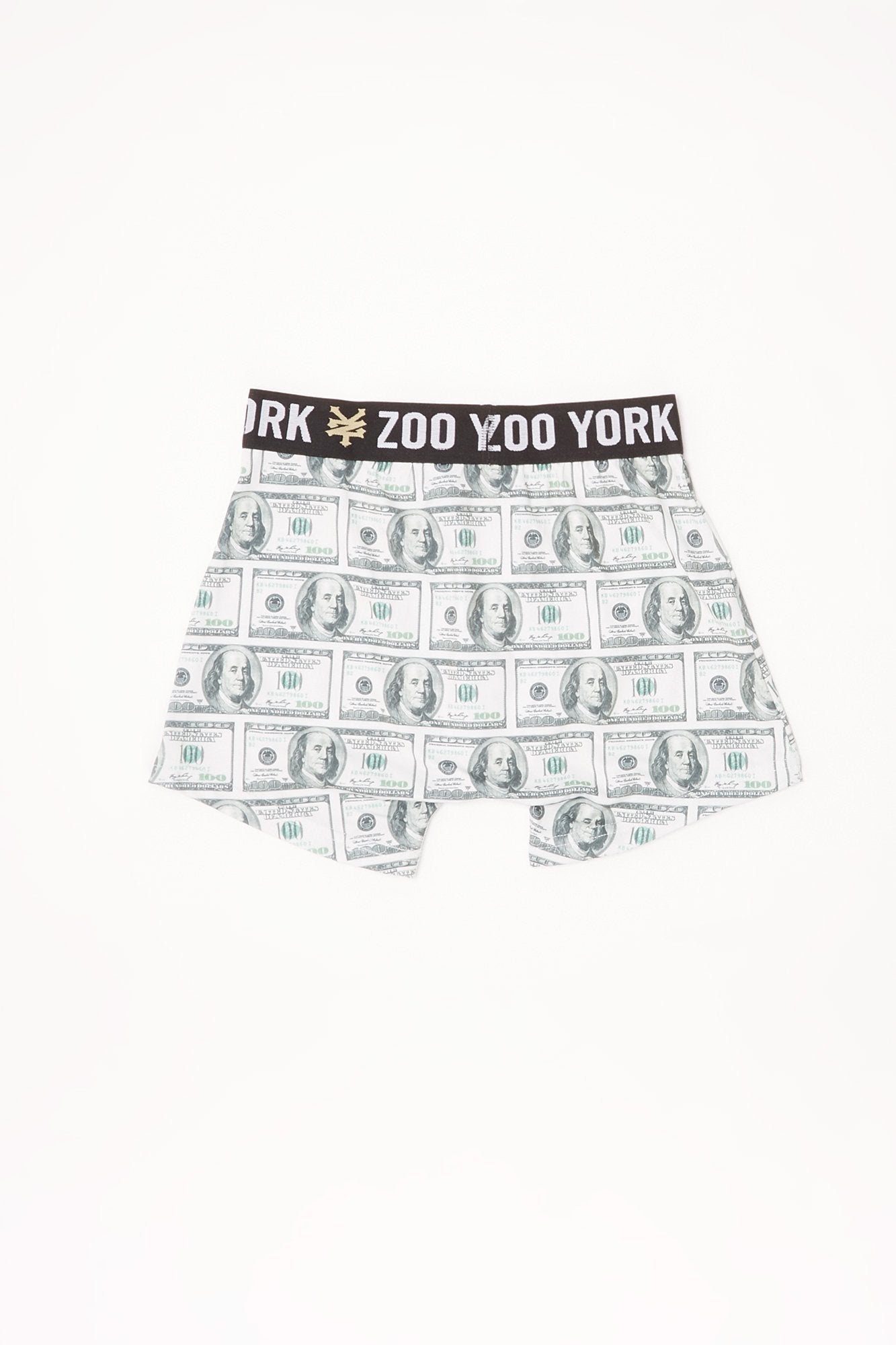 Zoo York Youth Money Print Boxers