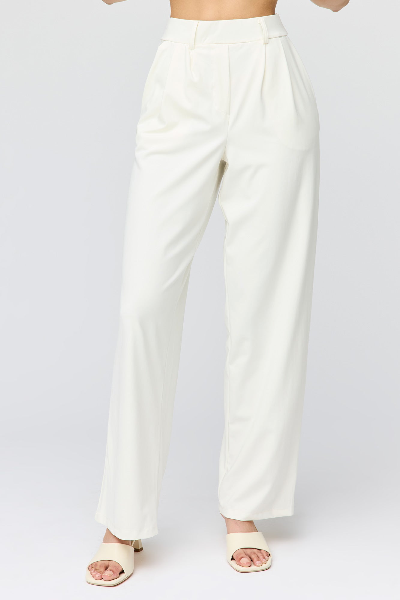 Wide Leg Dress Pant