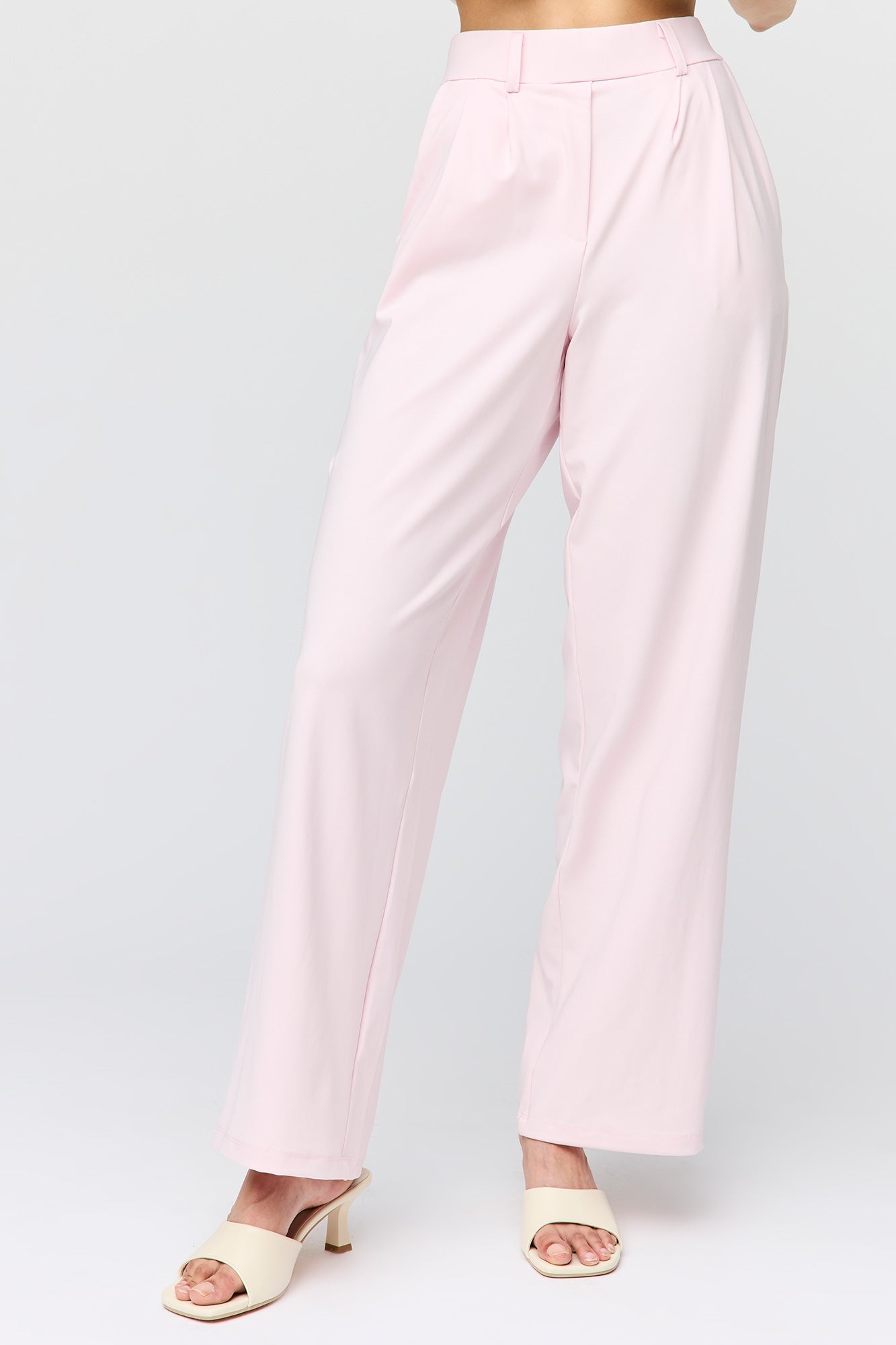 Wide Leg Dress Pant