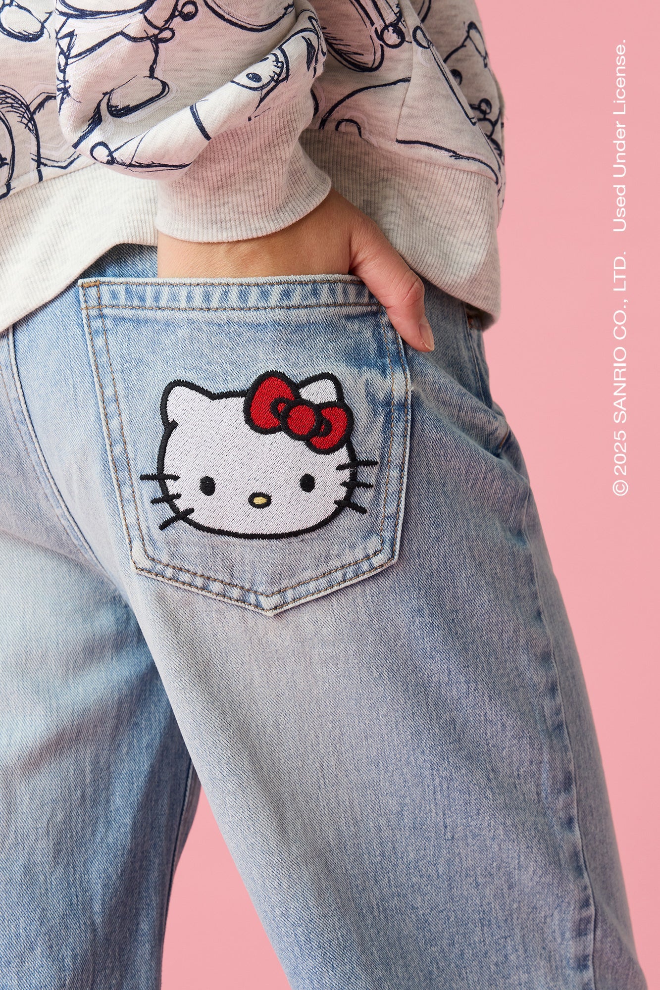 Hello Kitty® Embroidered Low Rise Baggy Jean