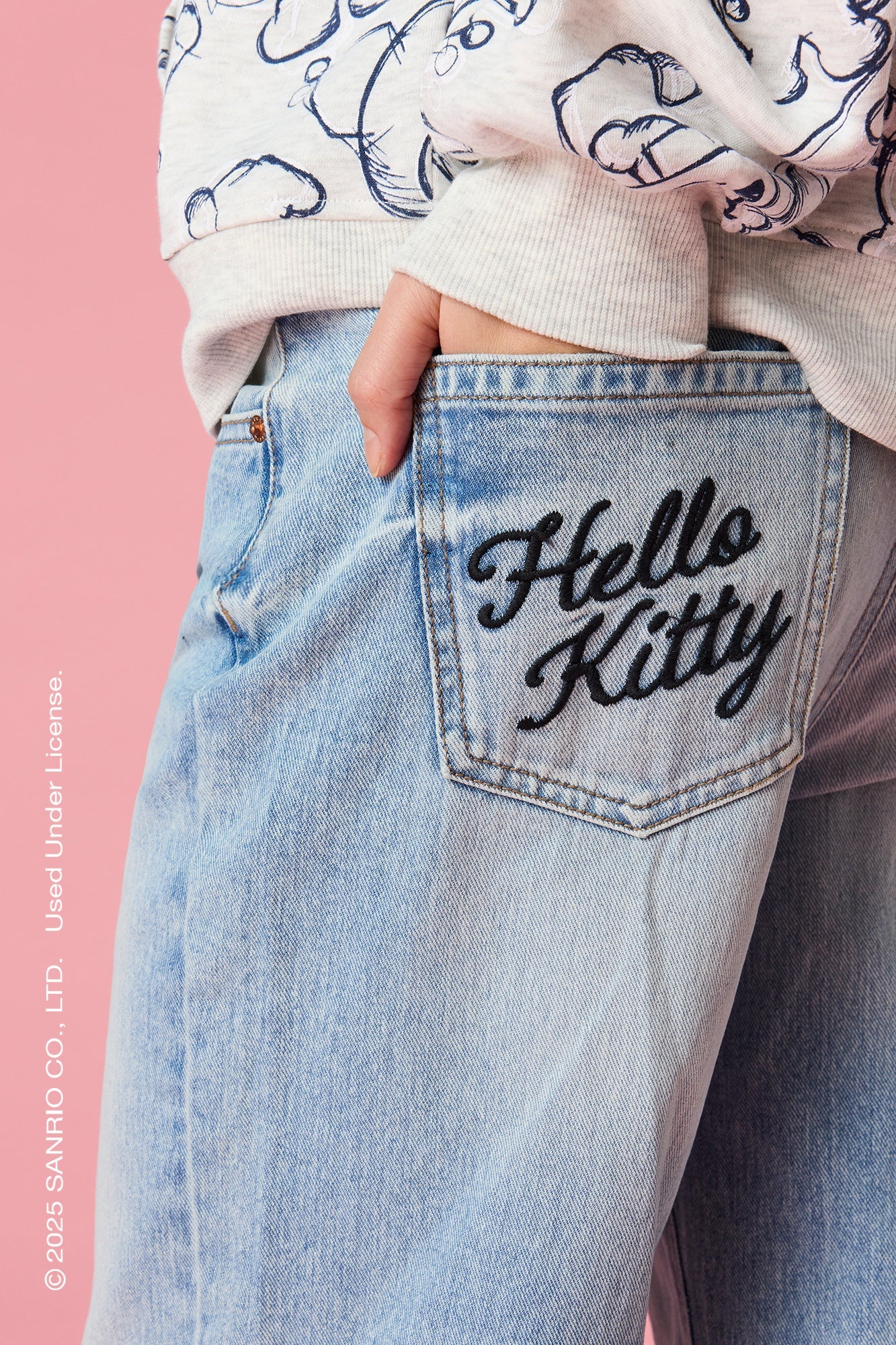 Hello Kitty® Embroidered Low Rise Baggy Jean