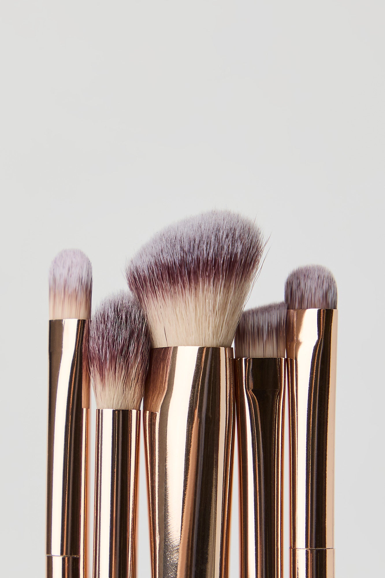 Makeup Brush Set (5 Pcs)
