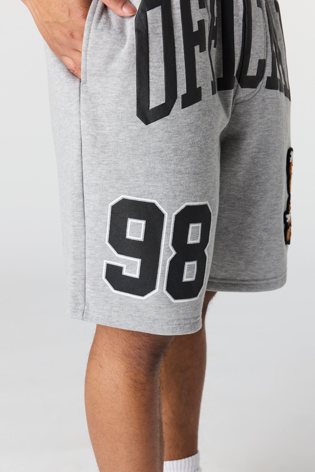 Graphic Fleece Short 8.5"