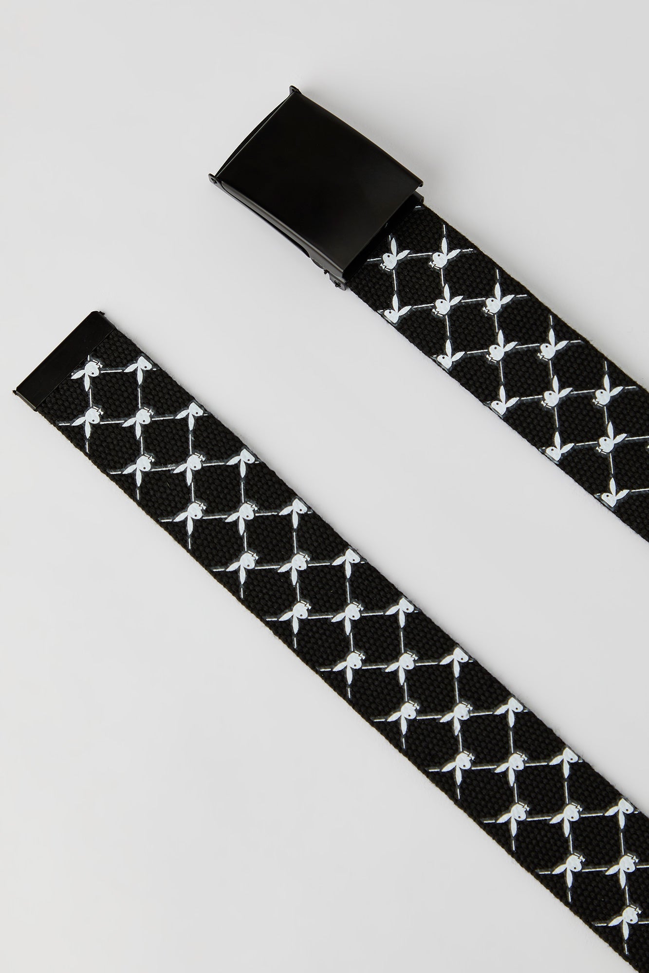 Playboy Web Belt