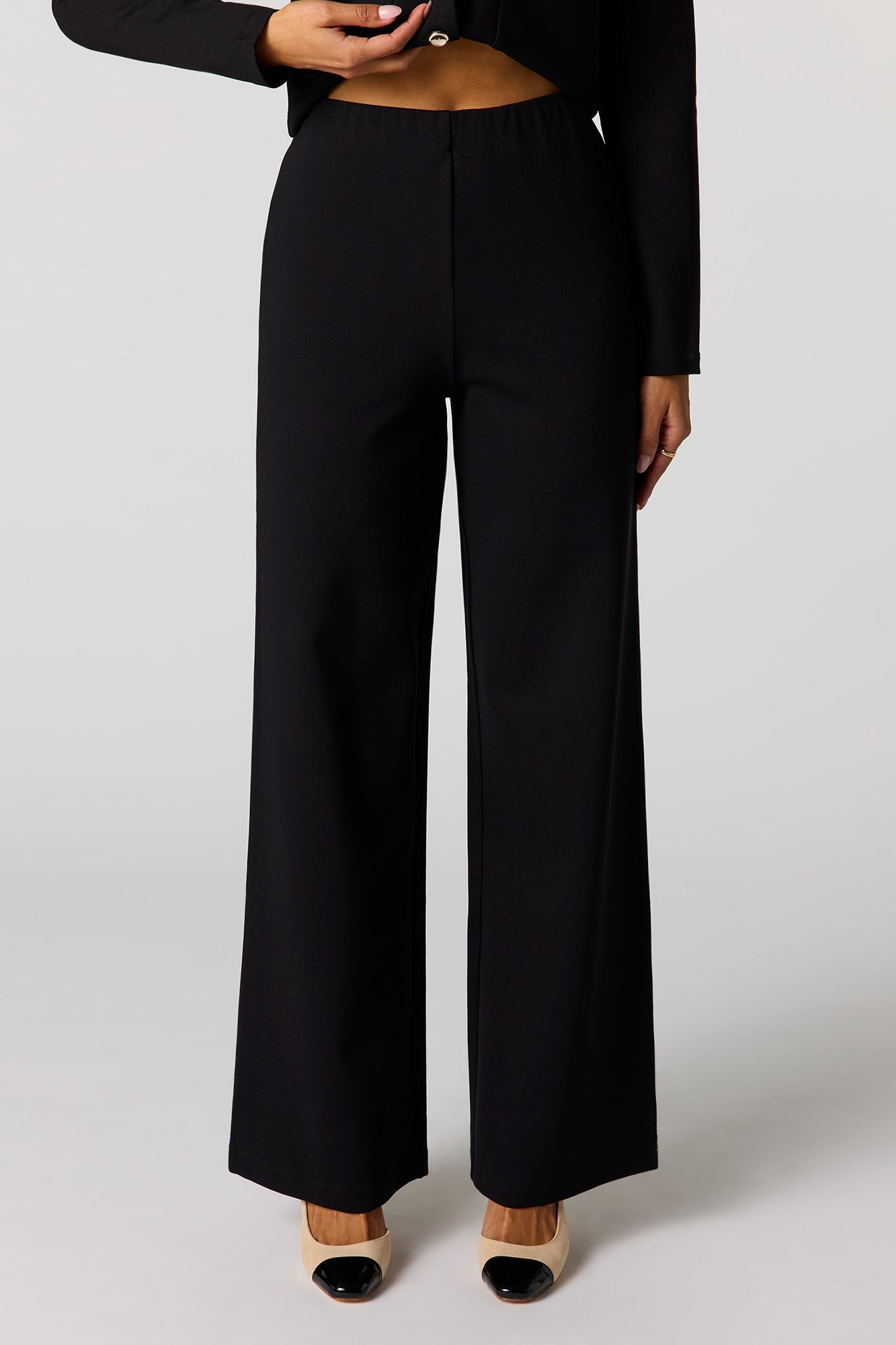 Wide Leg Dress Pant