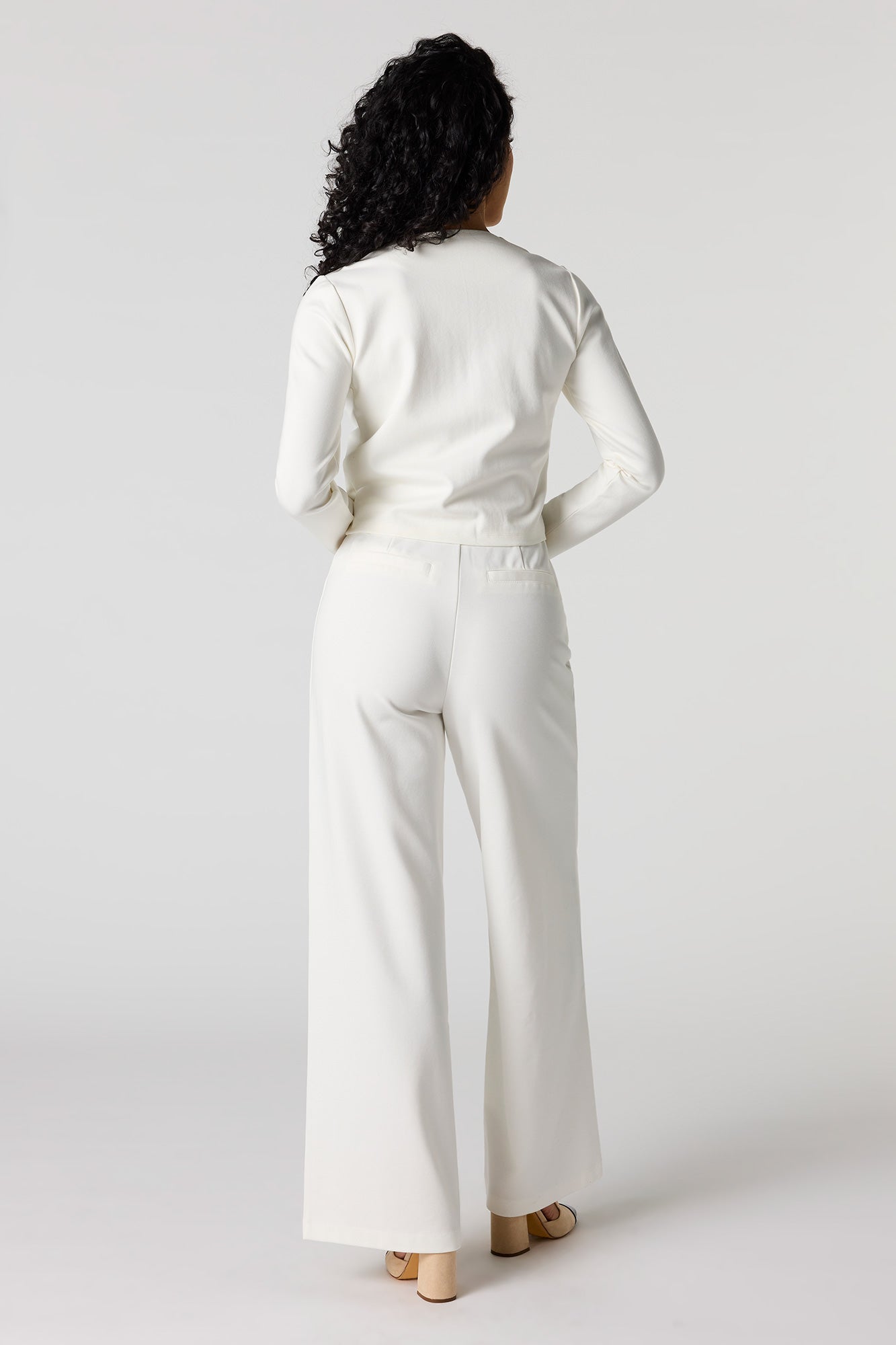 Wide Leg Dress Pant