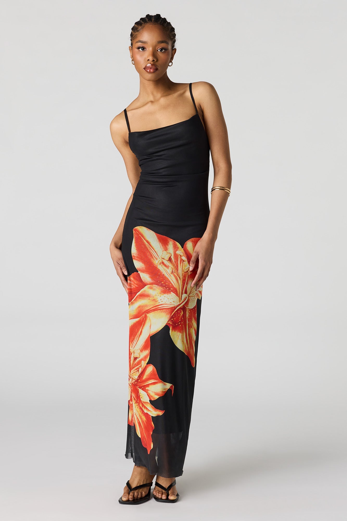 Floral Print Mesh Maxi Dress