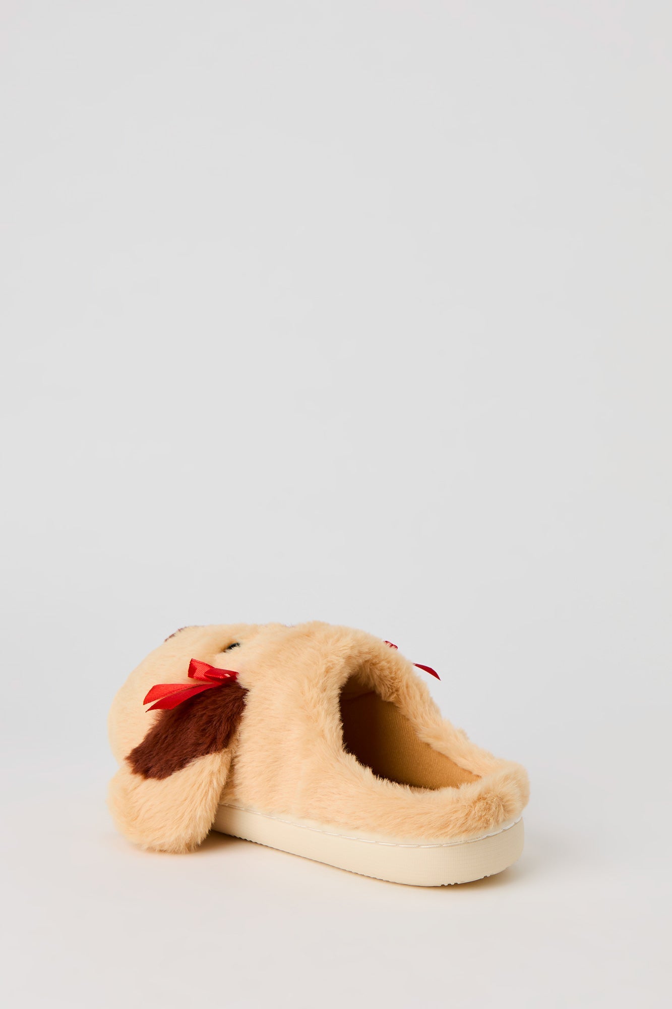 3D Dog Ribbon Slippers
