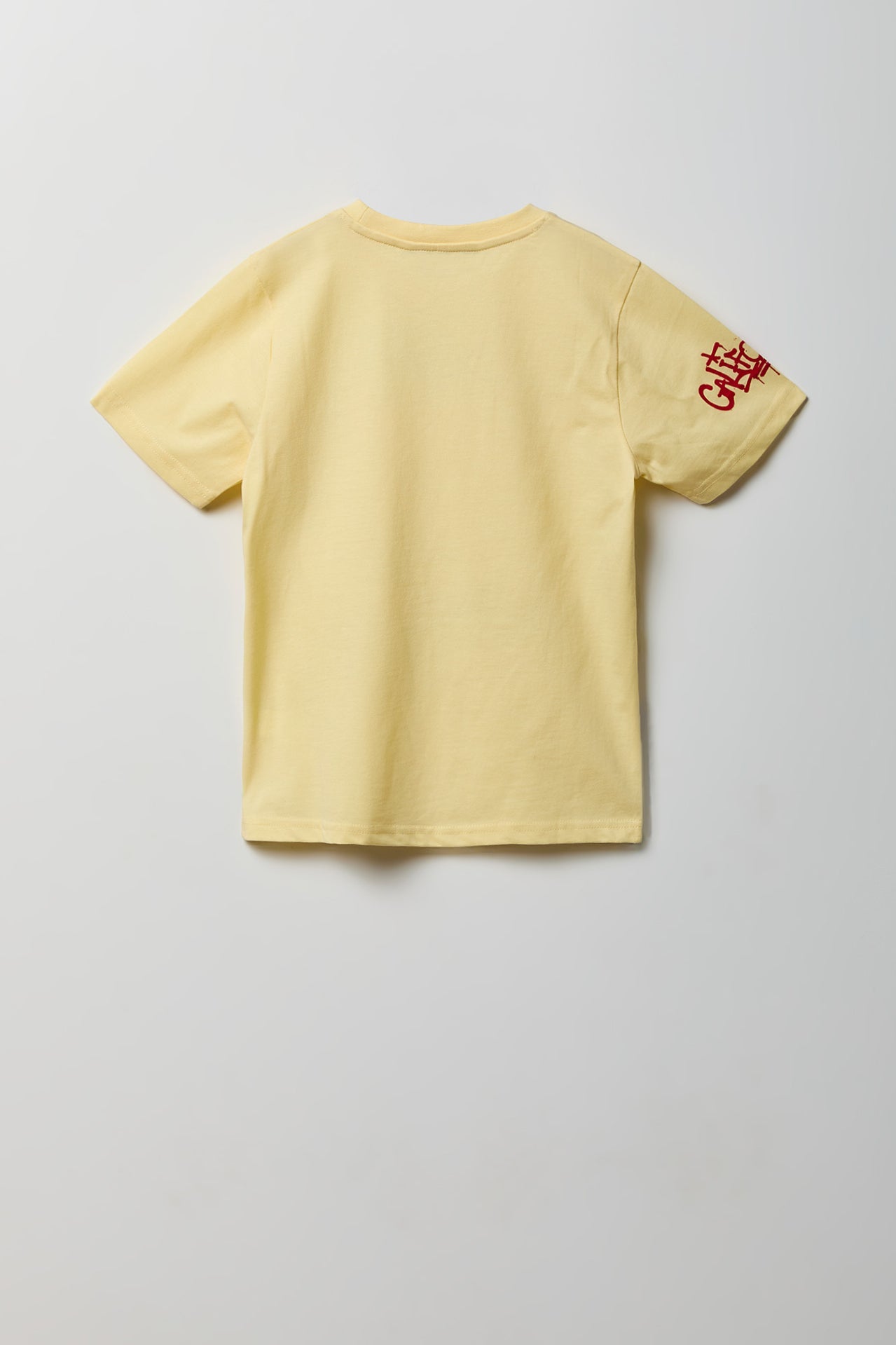 Kids Bunny Graphic T-Shirt