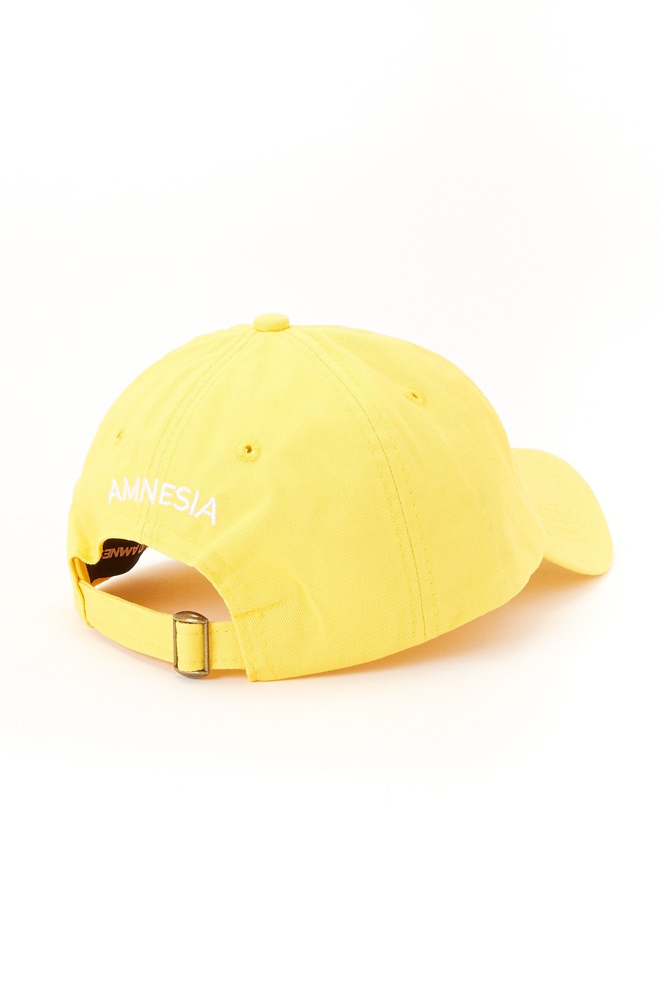 Amnesia Snake Dad Cap