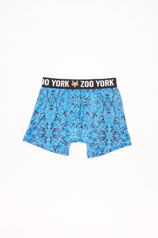 Zoo York Youth Blue Abstract Print Boxer